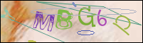 Registration Image