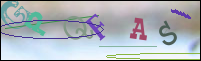 Registration Image