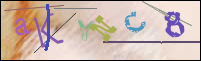 Registration Image