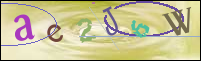Registration Image
