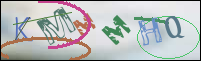 Registration Image