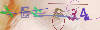 Registration Image