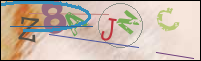 Registration Image