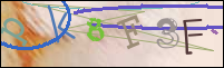 Registration Image