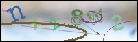 Registration Image