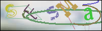 Registration Image