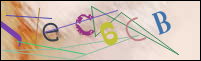 Registration Image