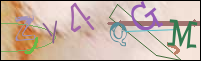 Registration Image