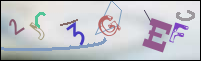 Registration Image