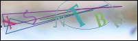 Registration Image