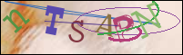 Registration Image