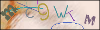 Registration Image