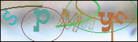 Registration Image
