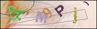 Registration Image
