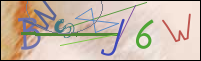 Registration Image