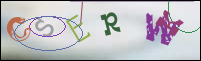 Registration Image