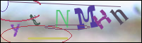 Registration Image