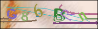 Registration Image